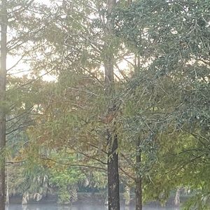 Meet your Posher, Mia